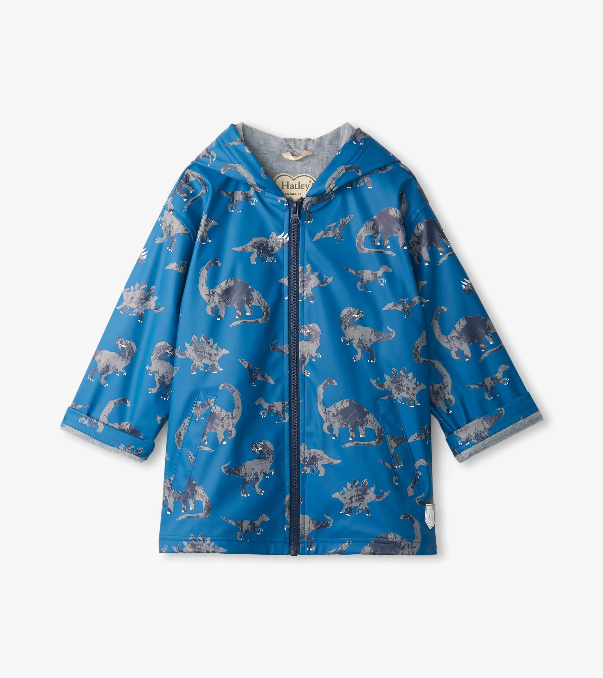 Boys Dinosaur Rain Jacket